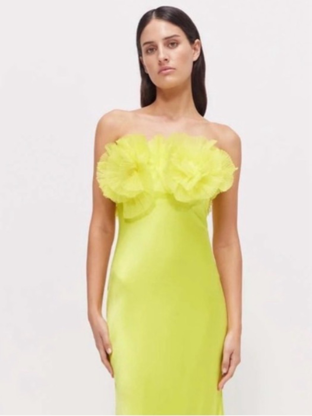 Rachel Gilbert NWT Strapless Gown - Picture 2 of 10